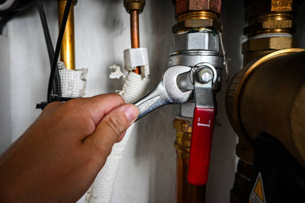 Best Plumbing Services Near Me  in Duarte, CA